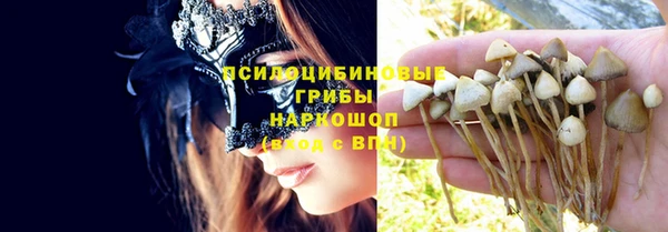 синтетический гашиш Алексин