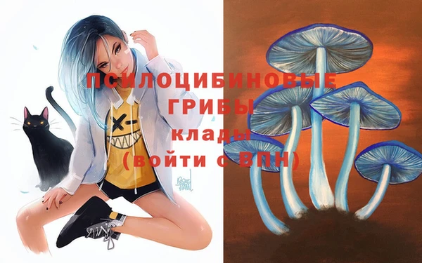 синтетический гашиш Алексин