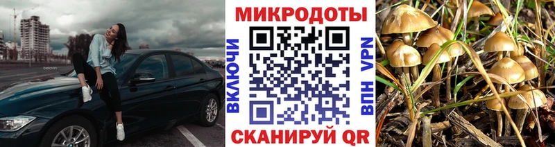 Псилоцибиновые грибы GOLDEN TEACHER  Багратионовск 