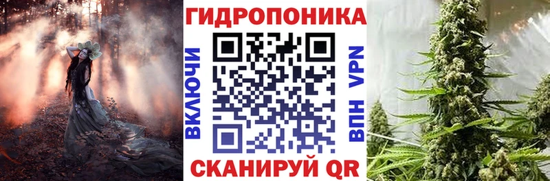 Конопля Bruce Banner  дарнет шоп  Багратионовск 